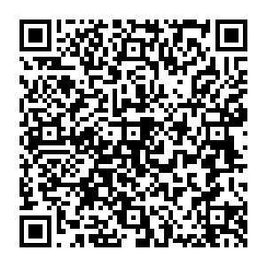 门旁各两株巨大的银杏树现在满树的金色叶子托着青砖灰瓦没有一些寺庙的辉煌不过却带着一种脱俗的气质二维码生成