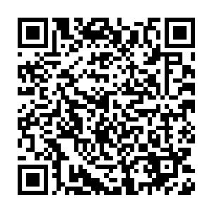 门楣上镌刻着精美而又细致的浮雕图案和花格装饰的窗柩美轮美奂二维码生成