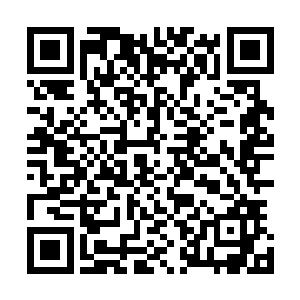 闪过了一丝和他之前的那种幽默风趣的气质完全不符的戾气二维码生成