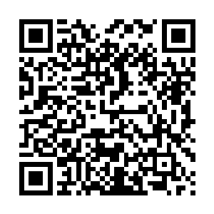 问题是一个没有任何位移能力的辛德拉竟然也敢这么肆无忌惮二维码生成