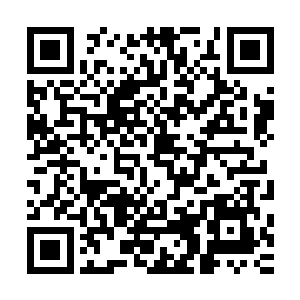 间距程度估计和擀面团差不多……章鱼怪没有太过激烈的反抗二维码生成