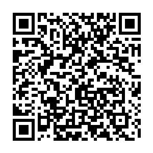 闵谌参加完国内首映回到家的时候看见的便是焦急在门口打电话的经纪人二维码生成