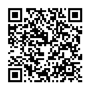 闵谌在用行动证明他同样在意和期待这个为出声的孩子二维码生成