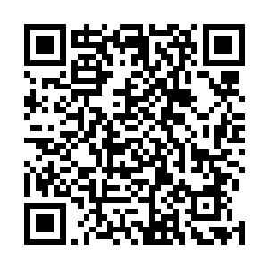 闻人空是靠他们的支持才从闻人牧月手里抢走家主之位的二维码生成
