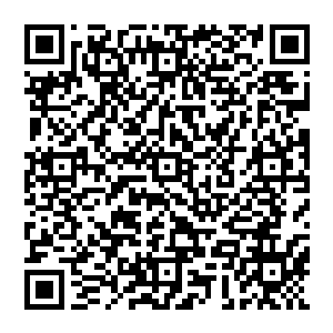 闻言　风清扬浑身一震　心跳瞬间加速　砰砰的狂跳起來　血脉动荡　更是透出一阵阵欣喜之意二维码生成