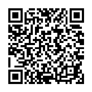 闻言指了指已经完全收敛起五道光彩和气息的女娲宫残图二维码生成