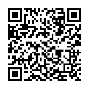阎修瞧着程珈澜的神色中浮现出这般冷酷嗜血的一面二维码生成