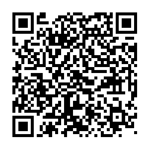 阎凯和杨采儿虽然不明白秦先生为什么要让他们盯着那穿红衣服的二维码生成