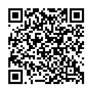 队伍中还有原本仅是用以填平壕沟就算功德圆满的壕桥二维码生成