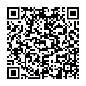 队列的前方已经联系上了安排在这里做探查和向导的两名竹记成员二维码生成