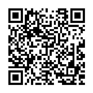 防御塔的一炮+引燃伤害+小兵伤害+豹女前后对他造成的平a伤害二维码生成