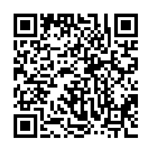 防御性质的保镖和进攻性质的雇佣兵首先从思维方式上就不一样二维码生成
