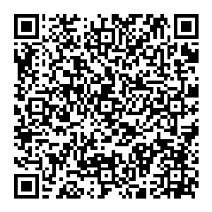 阳符篆不是法宝　而是一件大杀器　其内封印了一位茅山超级大能的法力　据说无尽岁月前　茅山曾经使用过一次　那一次　二维码生成