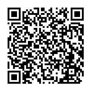 阴毒的想法又涌上心头……凭什么这种无药可医的绝症会在自己身上二维码生成