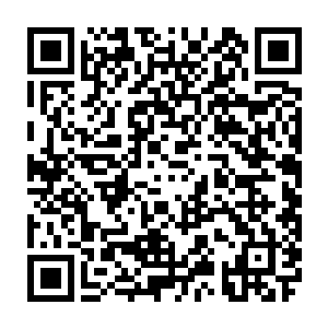 阴珠里的咕仔到现在我依然是精神力联系不上如同沉睡了一般让我担忧不已二维码生成