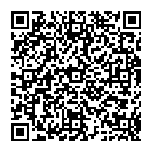 阴阳魔宗的人不知道从哪里搞到了一份蛮荒小秘境的地图残页……只是一份残页本来也没什么的二维码生成