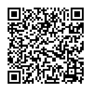 阵一和符一两个人正在为望仙城内的街道和桥梁不舍和仙阵和符纹二维码生成