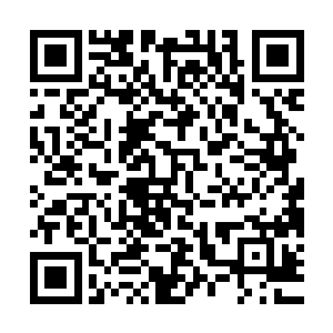 阵法的力量幻化成了石剑的形状和效果……是阵法的力量在伤你二维码生成