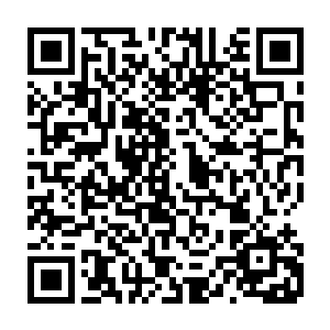 阶段性的汇总消息在早餐过后已经在巡城司附近的临时指挥部里进行了一遍复核二维码生成