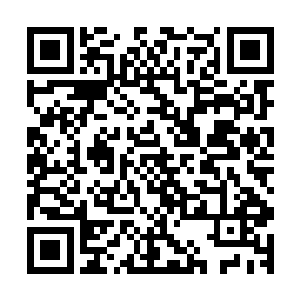 阻碍着叶尊进步的瓶颈在叶尊无数次的冲击下已经快要破开了二维码生成