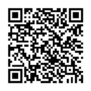 阿利桑德罗在成为红衣主教之前的资料出现在了众人的眼前二维码生成