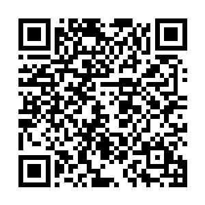 阿尔法在白云朵朵号的行驶记录了找到了他家乡的位置二维码生成