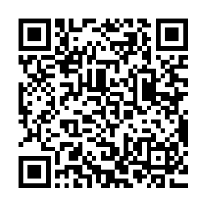 阿尔法大伯已经不声不响拿下全级新生的机器人的领导权了……二维码生成