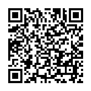 阿德瑞娜不会是被刚才安布罗休的尖叫与自己的动作给吓到了吧二维码生成