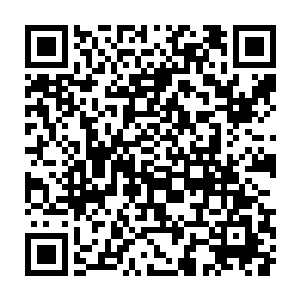 阿方索一边和尼尔讨论着刚才他们的薯条绝对是被佩德罗偷吃光的证据二维码生成