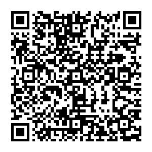 阿方索和佩德罗还在伯班克的一间录音室工作了一段时间……一群狗仔队跟踪尾随了半个多月二维码生成