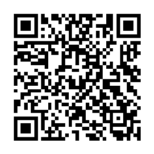 阿洛斯和底格斯的母亲就是格拉森家族老族长的亲妹妹二维码生成