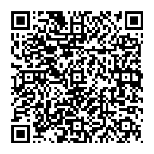 阿蛮双手往外一推 想要凝聚起一股气挡住赵纯良的拳头 可是 他突然惊讶的发现 自己和气的连接 断了二维码生成