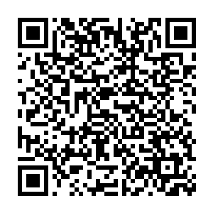 陆为民一句话就为今天晚上晚饭的氛围定下了一个压抑沉重的基调二维码生成