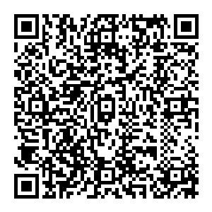 陆为民一度认为也许自己在经济工作上的卓越表现能够在当下以经济工作为中心的大潮中为自己赢得一个重要的砝码二维码生成