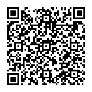 陆为民不敢说自己和甄妮之间的感情会不会因为受到外界更大的诱惑和价码而变色二维码生成