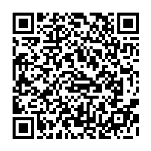 陆为民也介绍了昌南中药材市场项目的引进到发展医药行业产业链的构想过程二维码生成