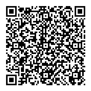 陆为民也煞费苦心的把企业改制和股权激励以及专业经理人这一系列现代企业管理制度中逐渐出来的新生事物介绍给几位主要领导二维码生成