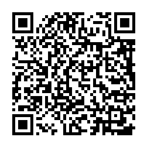 陆为民介绍了拓达集团有意在吉布提投资建设电厂和水泥厂的情况作了介绍二维码生成