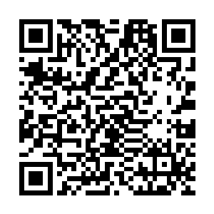 陆为民会给她一个什么样的建议或者帮她解决什么实质性的问题二维码生成