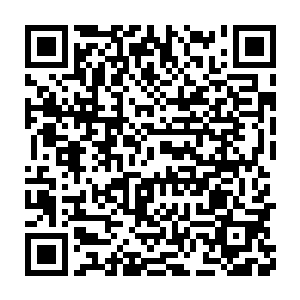 陆为民估计自己在这篇文章里的一些观点恐怕就会遭到攻讦和非议二维码生成