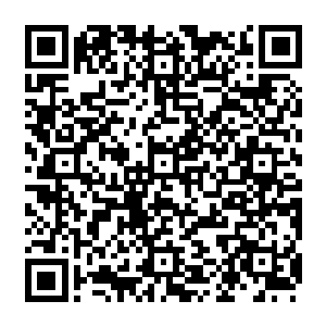 陆为民和甄妮之间已经不复有昔日他们还在读大学放假时在一起那种说不出纯爱了二维码生成
