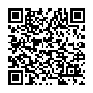 陆为民和隋氏兄弟以及另外一位罗姓药商正谈得很投缘二维码生成