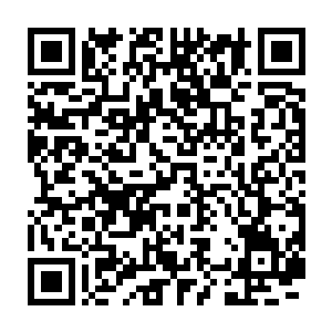 陆为民在丰州启动了大规模的城市基础设施建设在她看来是很有必要的二维码生成
