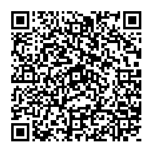 陆为民在前两夭座谈会后的晚宴上的一些话语观点在这些私营企业的代表们很是引发了一番轰动二维码生成