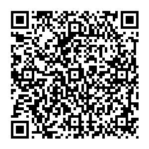 陆为民在担任县委副书记兼任洼崮区委书记这么短时间里就能以绝才惊艳的表现全县千部们只能用艳羡的目光仰视二维码生成