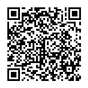 陆为民很希望能够像上半年那样或者像去年那样大家能齐心协力的工作二维码生成