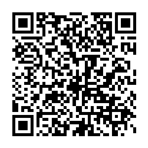 陆为民敲响沈子烈家门时注意到沈子烈家门外的绿化带旁停着两台汽车二维码生成