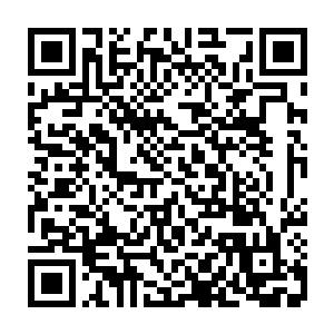 陆为民现在的确就在为如何吸引到投资商来投资建设这个中药材市场而犯愁二维码生成