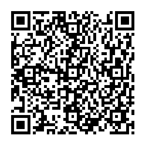 陆为民给自己暗示性的提醒让康明德意识到陆为民的城府和智慧远比他的年龄要深得多二维码生成