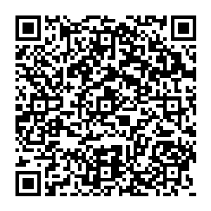 陆为民给陆志华在财务上坚决收支直接由公司总部负责的原则建议也得到陆志华坚定不移的认可二维码生成